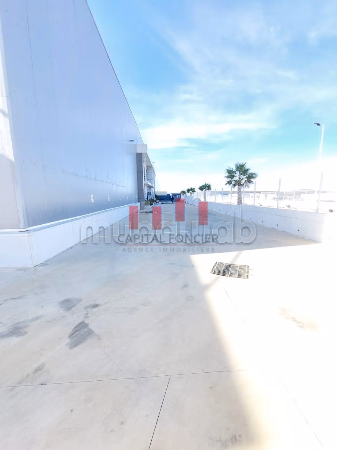 Affitta il locale commerciale perfetto per te. Superficie di 5000 m²