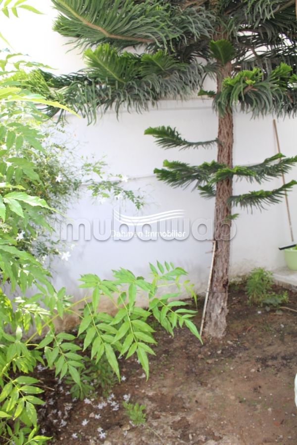 Flat for rent. 2 large living areas. Green areas, Balcony