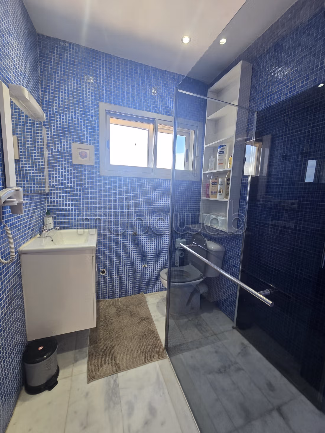 Superbe appartement sur le Boulevard Pasteur