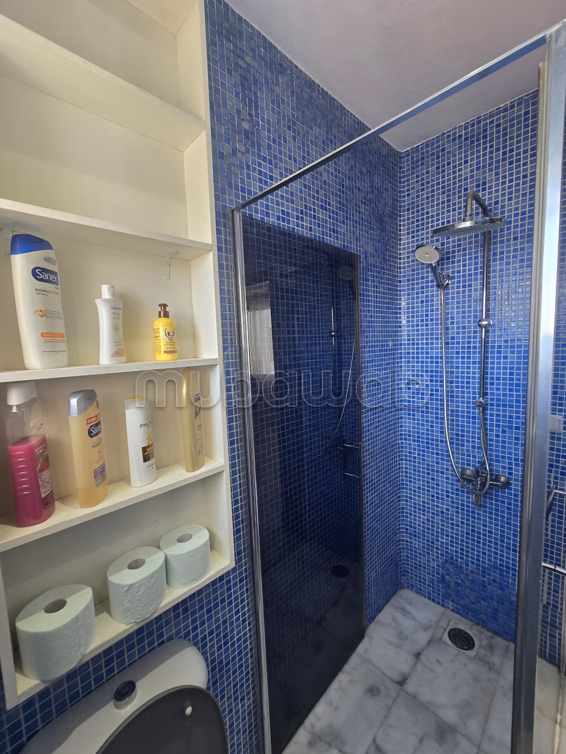 Superbe appartement sur le Boulevard Pasteur