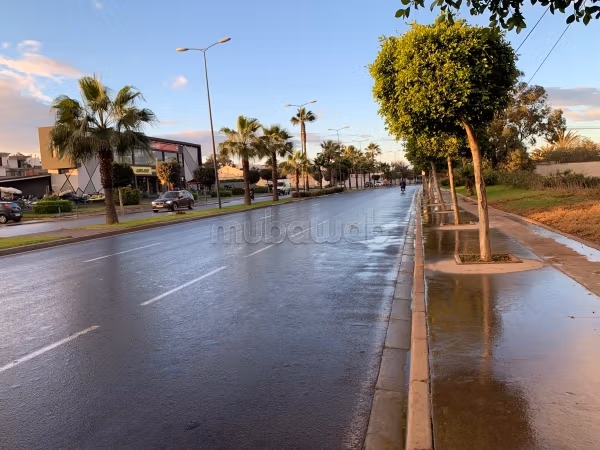 Land for sale in Ain Diab. Total area 1234 m²