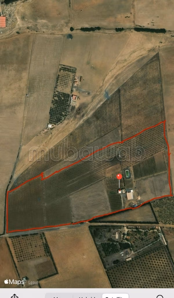 Vente de terrain à Tifelt. Surface de 80000 m²