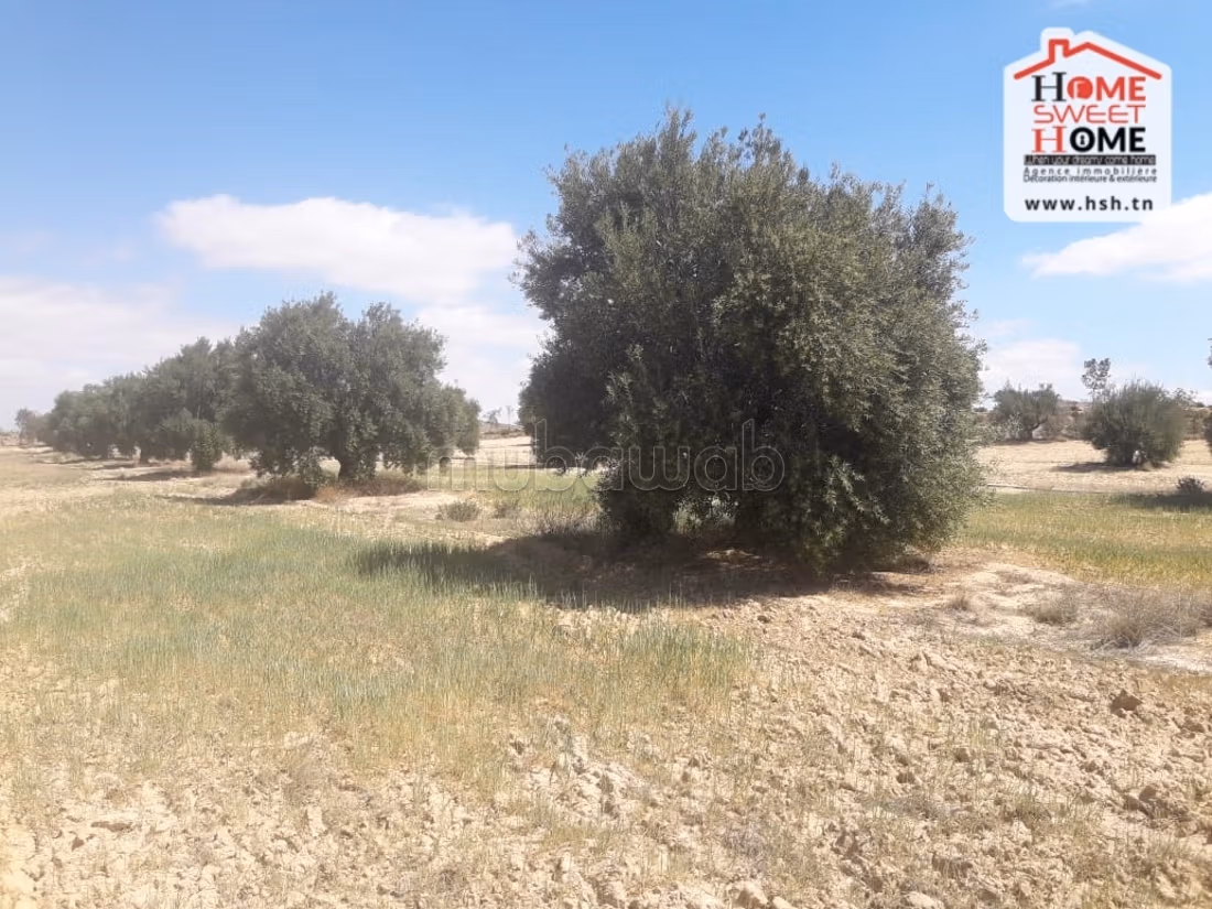 Nice farm for sale. Area 325728 m²