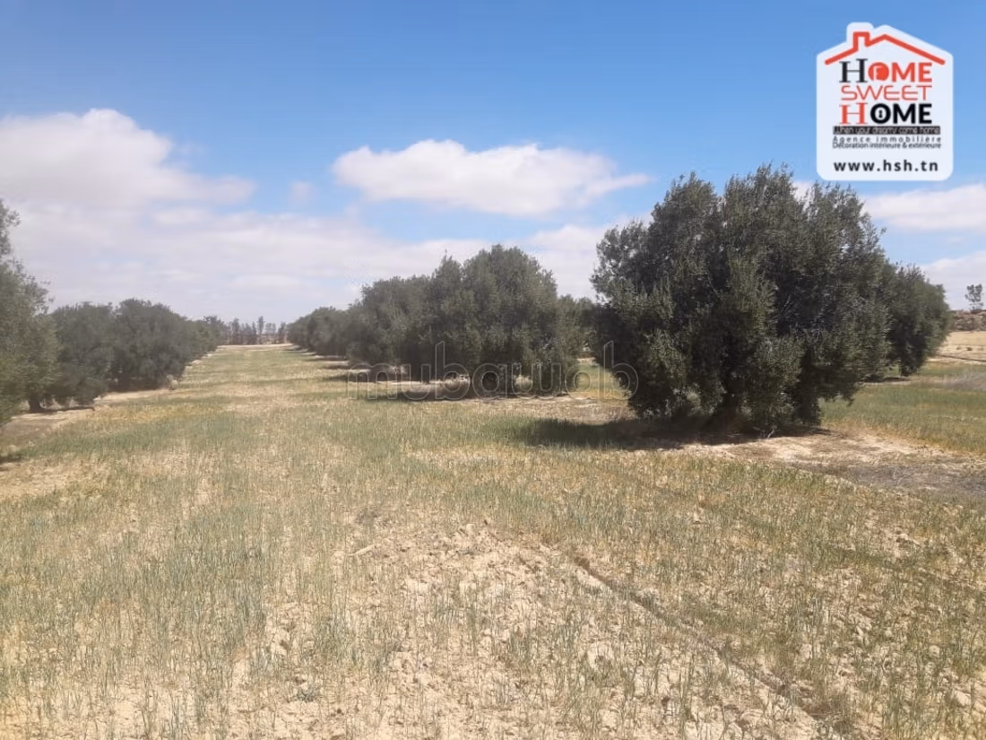 Nice farm for sale. Area 325728 m²