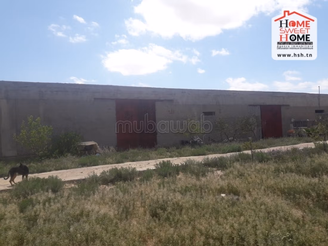 Nice farm for sale. Area 325728 m²