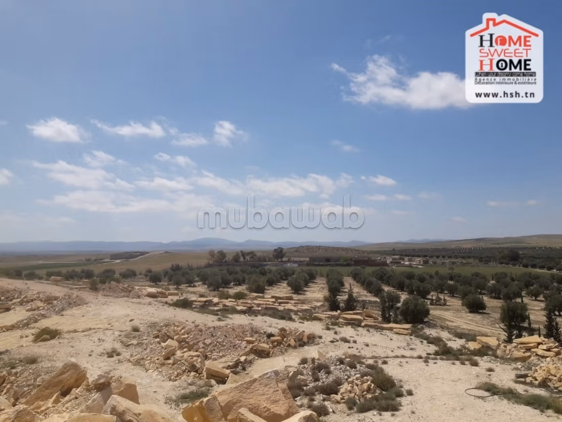 Nice farm for sale. Area 325728 m²