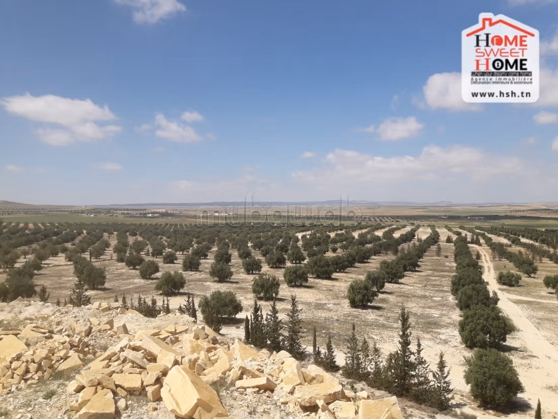 Nice farm for sale. Area 325728 m²