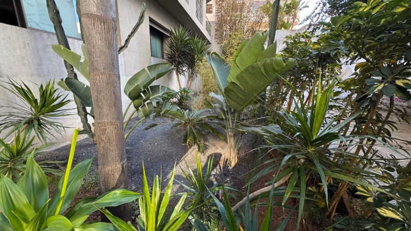 Bonito piso en venta en Gauthier. Dimensión 156 m². Jardín privado, trastero