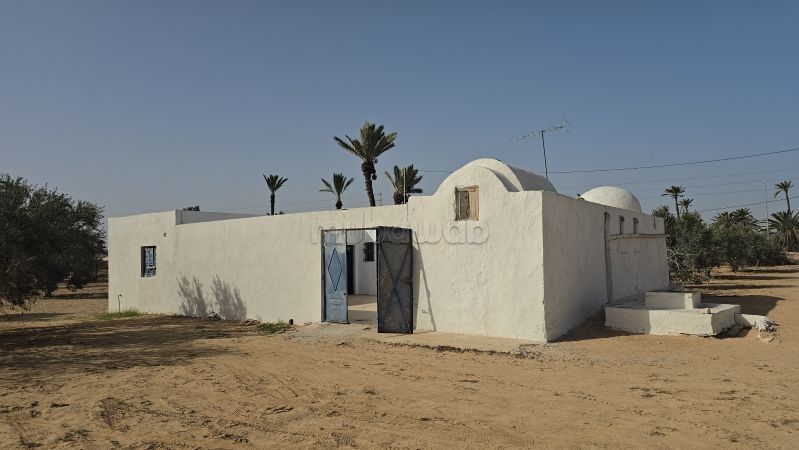 Houch Djerbien avec Terrain