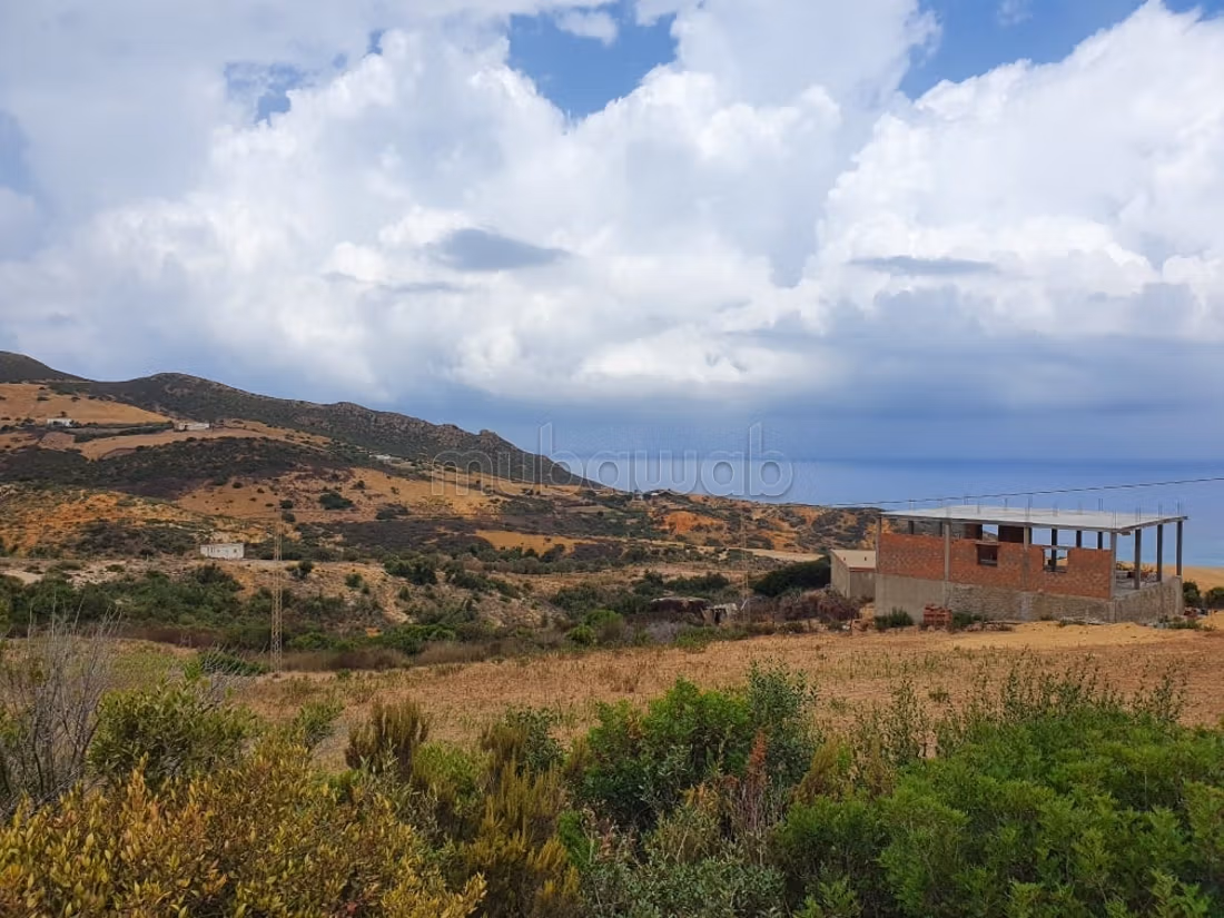 Terrain vue sur mer 
bizerte kef abbed