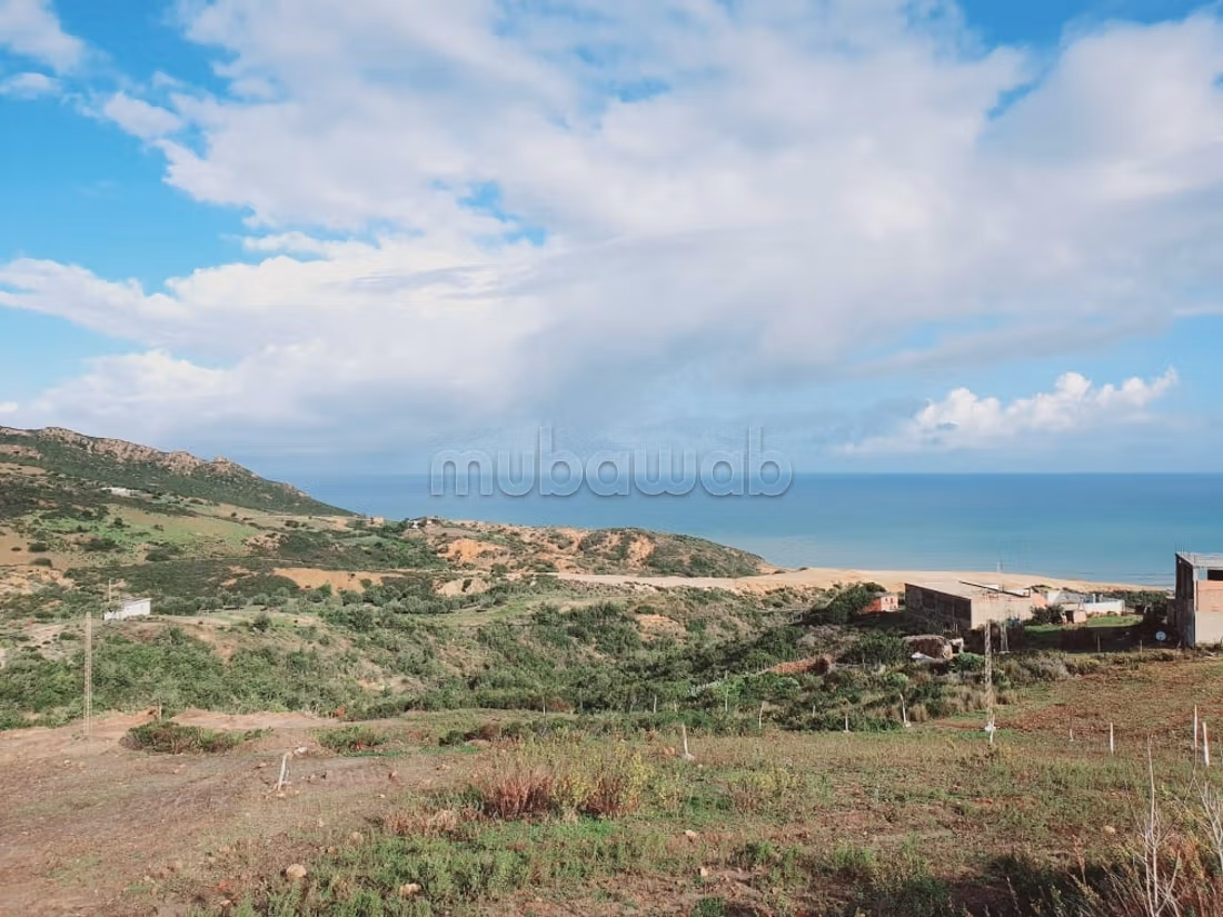 Terrain vue sur mer 
bizerte kef abbed