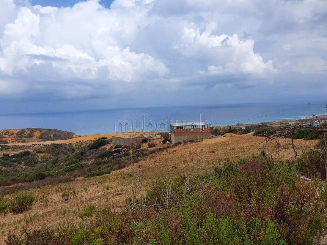 Terrain vue sur mer 
bizerte kef abbed