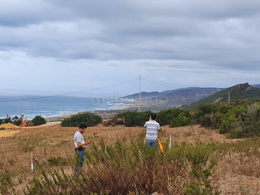 Terrain vue sur mer 
bizerte kef abbed