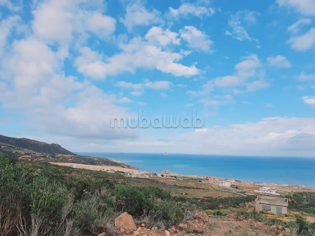 Terrain vue sur mer 
bizerte kef abbed