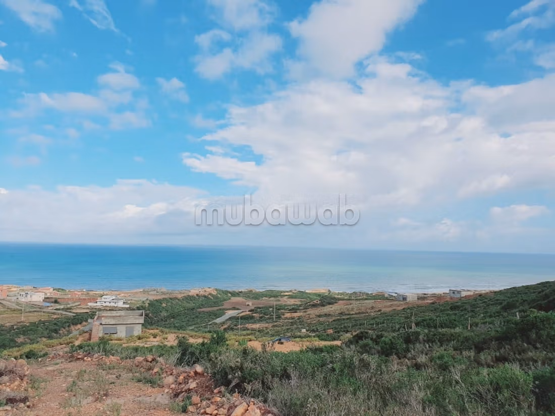 Terrain vue sur mer 
bizerte kef abbed