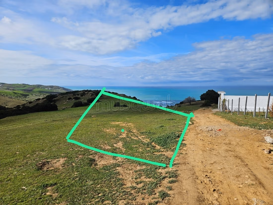 Kopen: land. Oppervlakte 607 m²