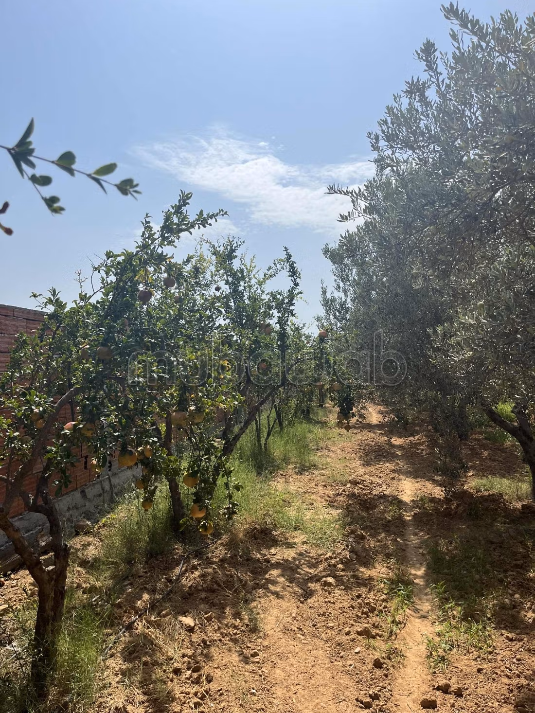 Bel terreno in vendita. Superficie 4545 m²