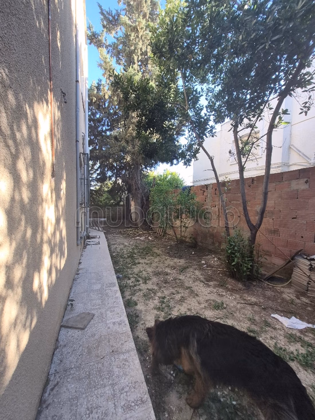 À vendre: Villa spacieuse avec studio