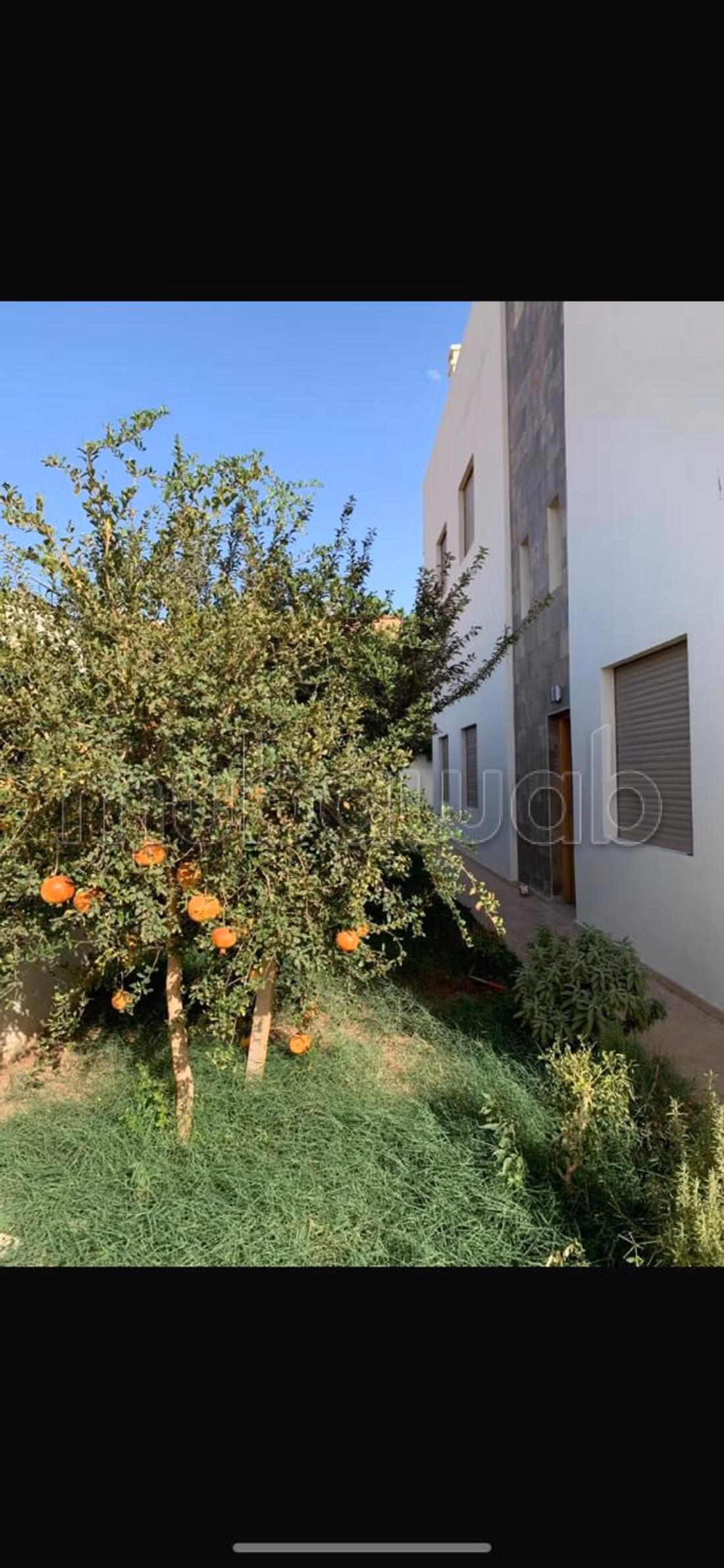 Très bon affaire à nous pas rater sur Marrakech