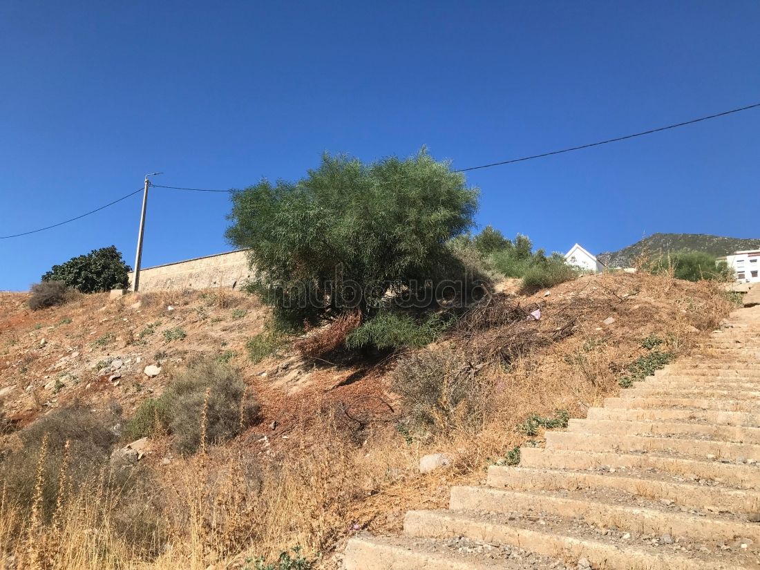 Vente d’un terrain exceptionnel