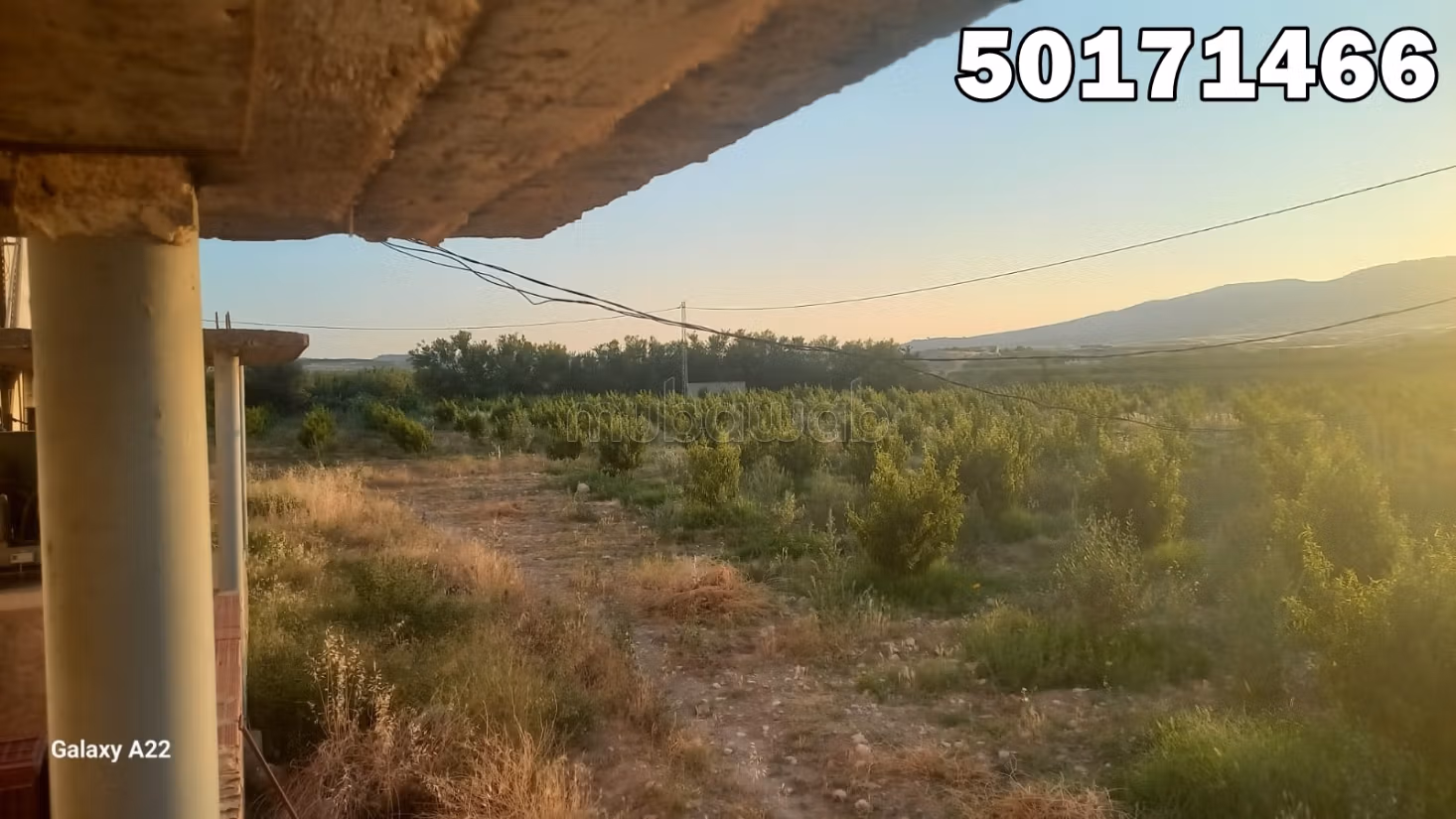 بيع أرض. المساحة الإجمالية 10000 م²