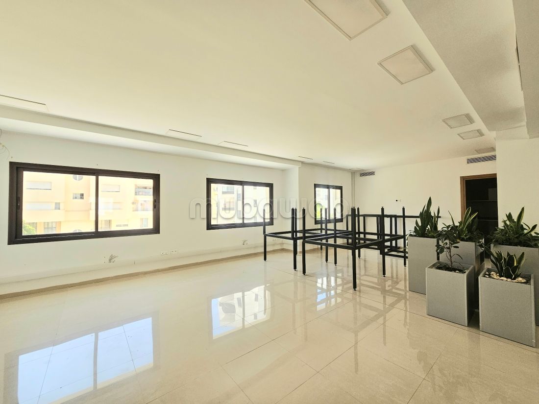 À louer open space au lac 2