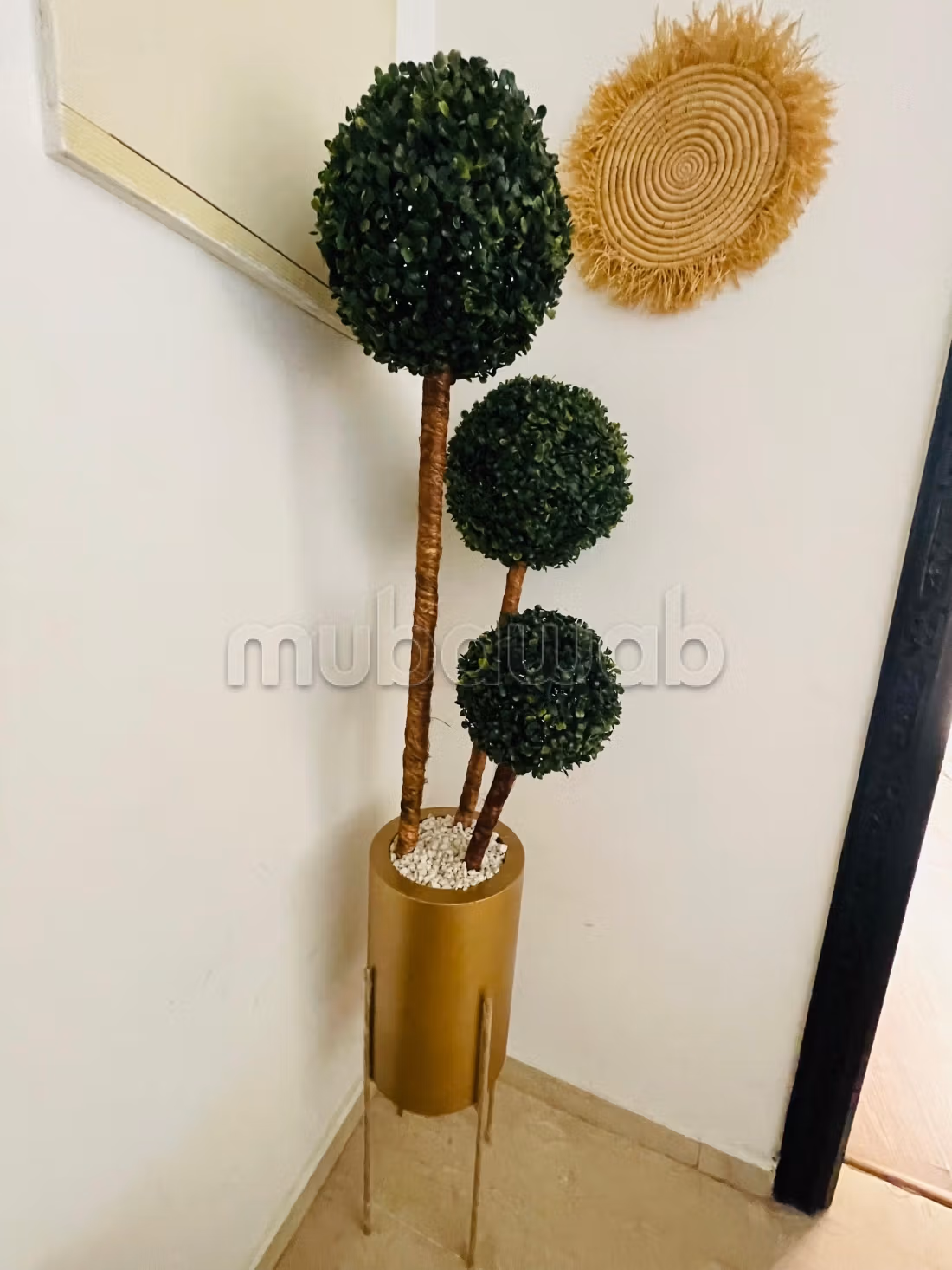 Bel appartement à vendre à Guéliz. 1 belle chambre. Antenne parabolique et sécurité