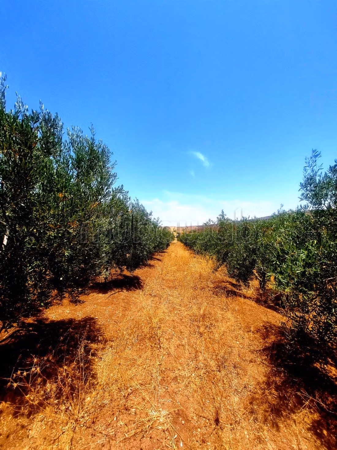 Farm for sale. 1 room. Closed residence