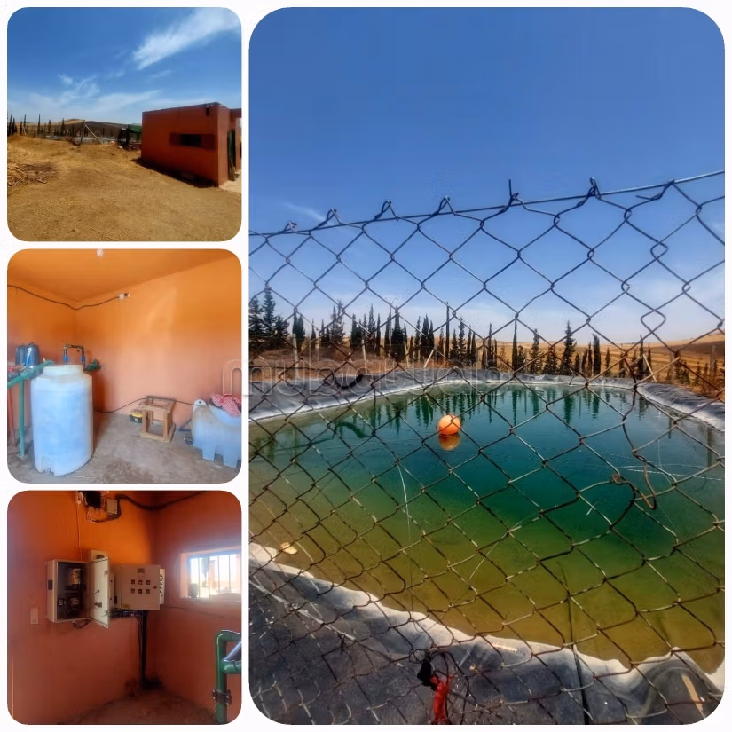 Farm for sale. 1 room. Closed residence