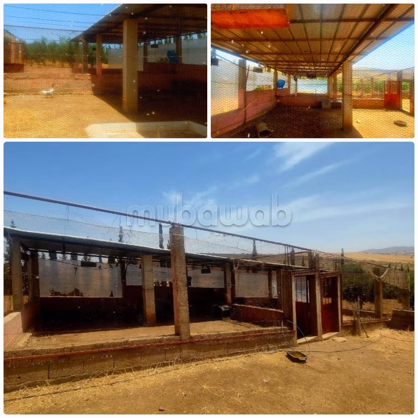 Farm for sale. 1 room. Closed residence