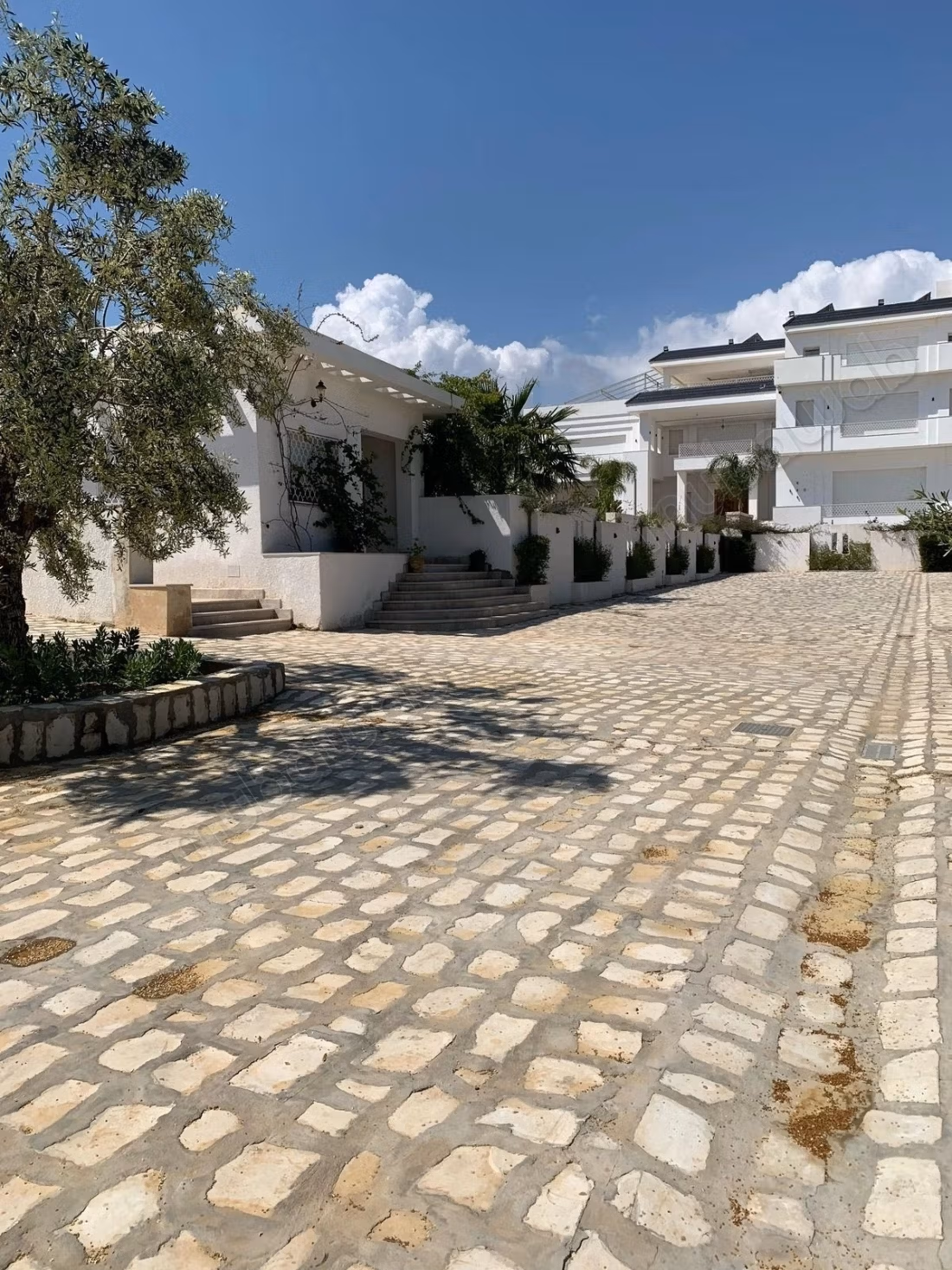 Villa Luxe à vendre Chatt meriem