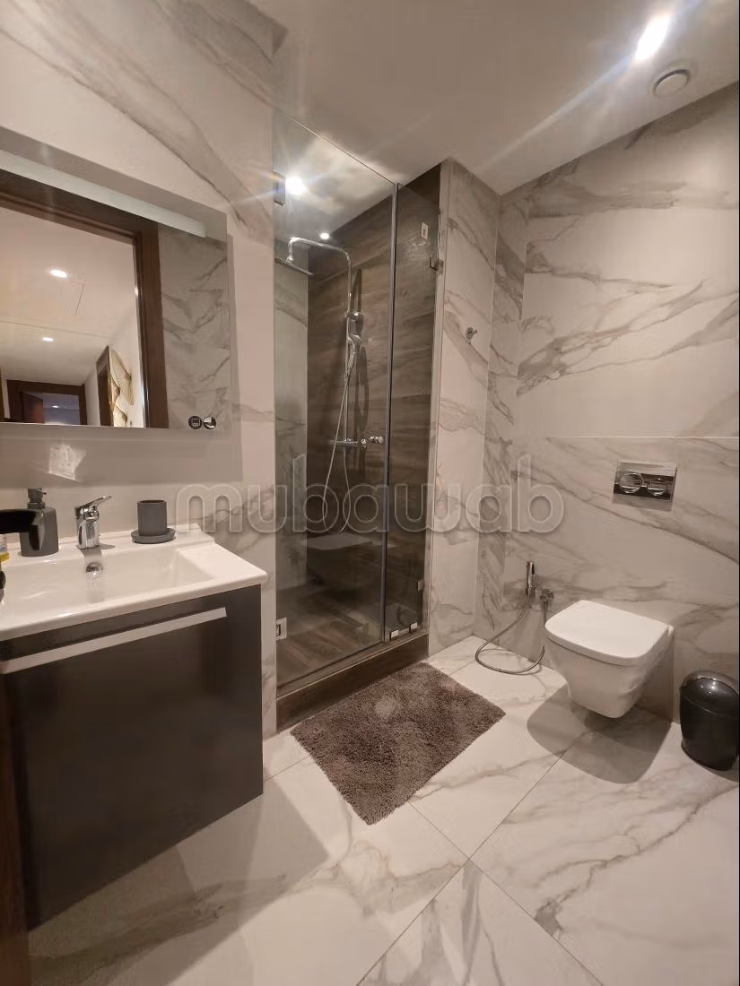 CASA FINANCE CITY à louer appartement meublé avec terrasse