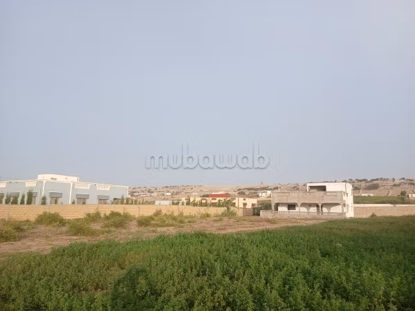 Vente terrain à la plage mrayzika.
Surface totale 2050 m²