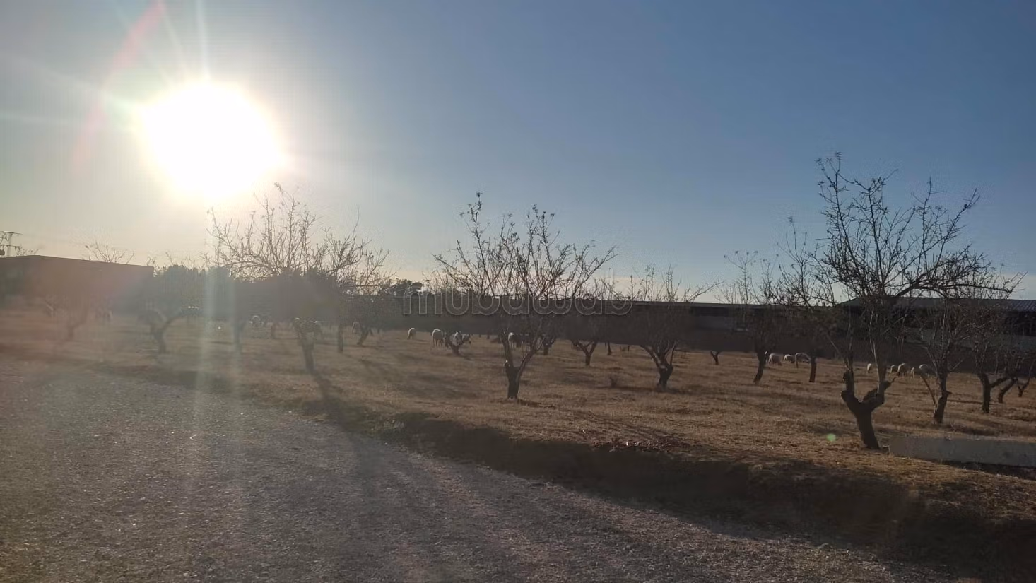 Land for sale. Total area 500 m²