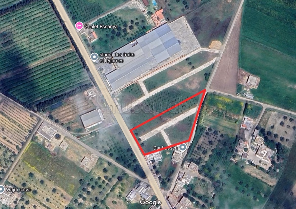 Land for sale. Total area 500 m²