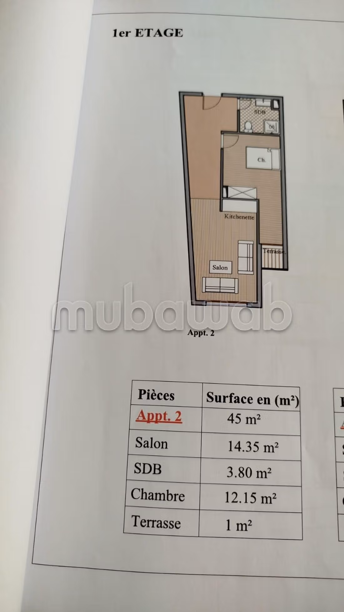 Bab Doukala Projet neuf studio — 5