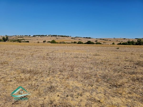 Land for sale. Surface area 1700 m²