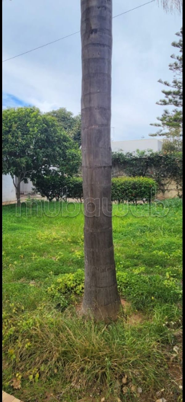 Villa 1700m Souisi proche