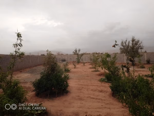 Land te koop. Totale oppervlakte 2000 m²