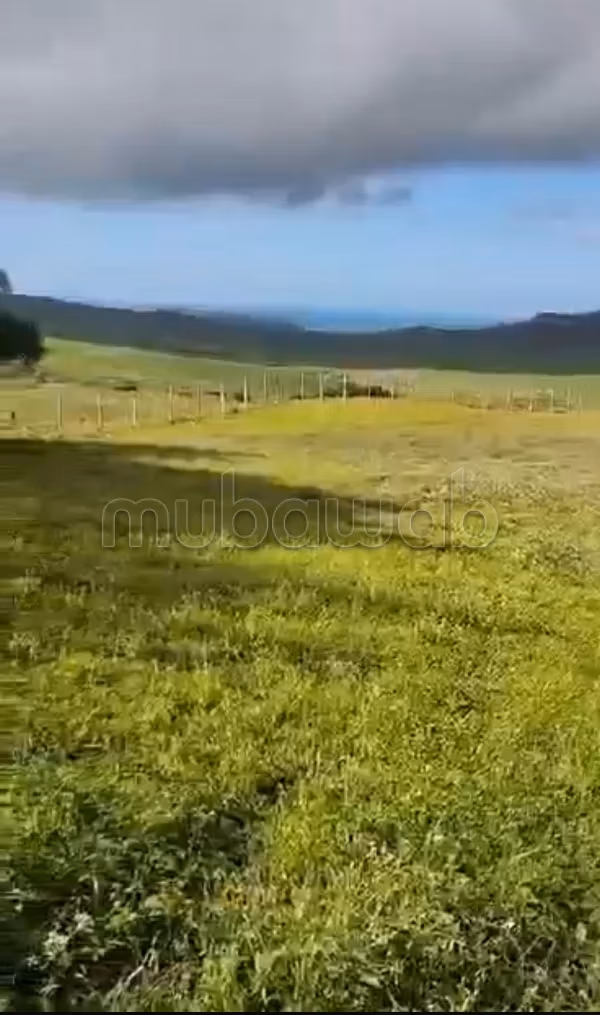Land om te kopen. Totale oppervlakte 10500 m²