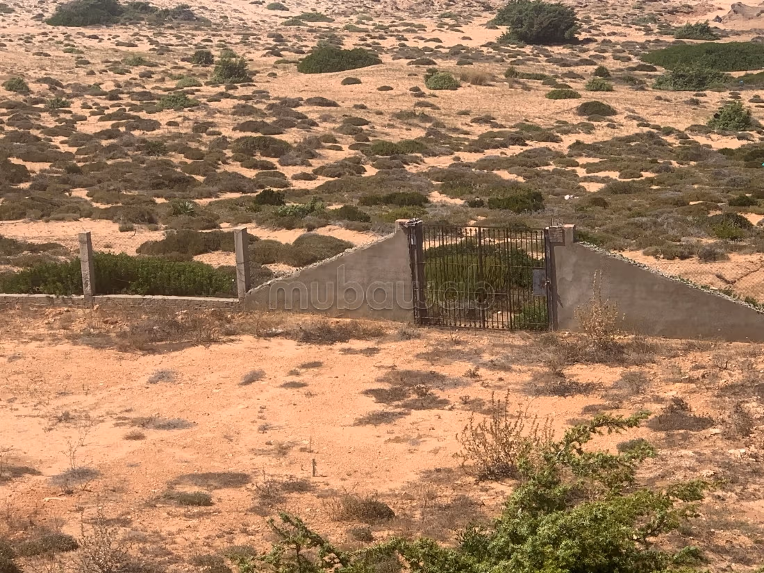 Terreno in vendita. Superficie di 45000 m²