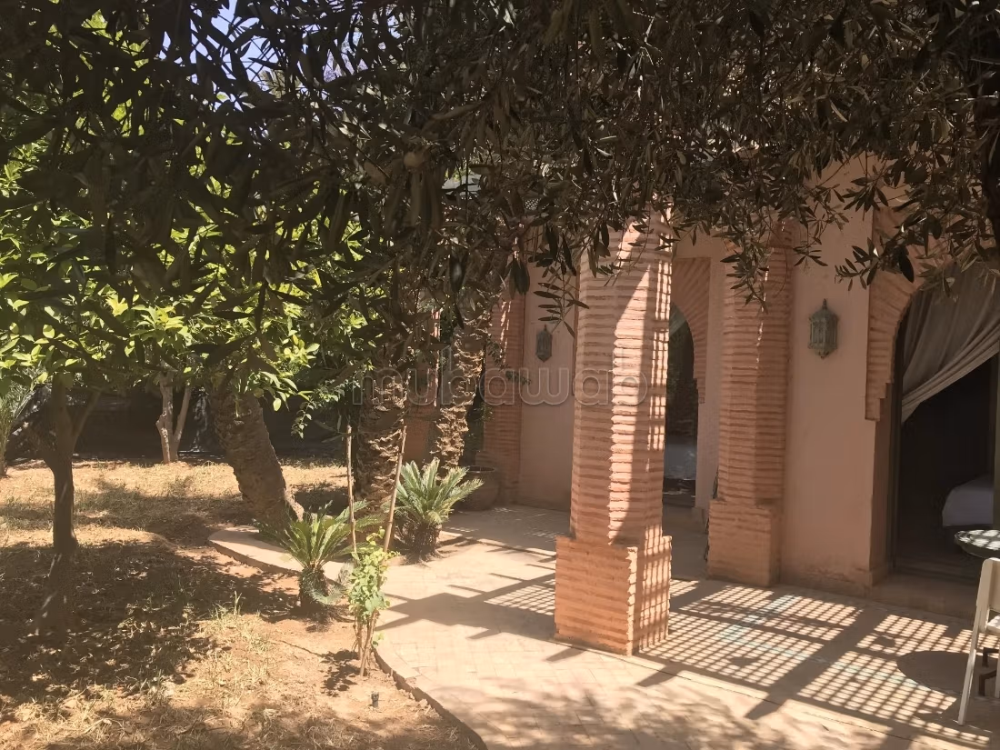 Magnifique Rez de Jardin à la Palmeraie — 4