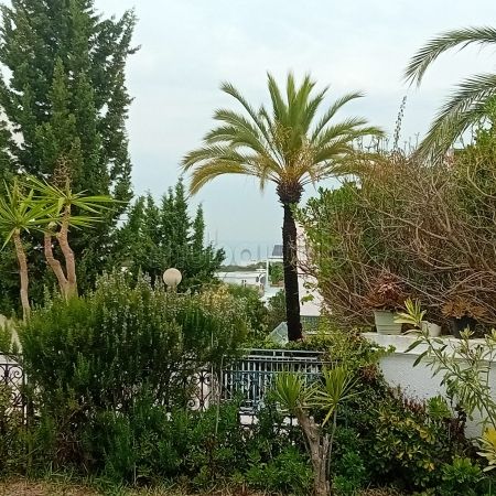 Duplex meublé au golden tulipe