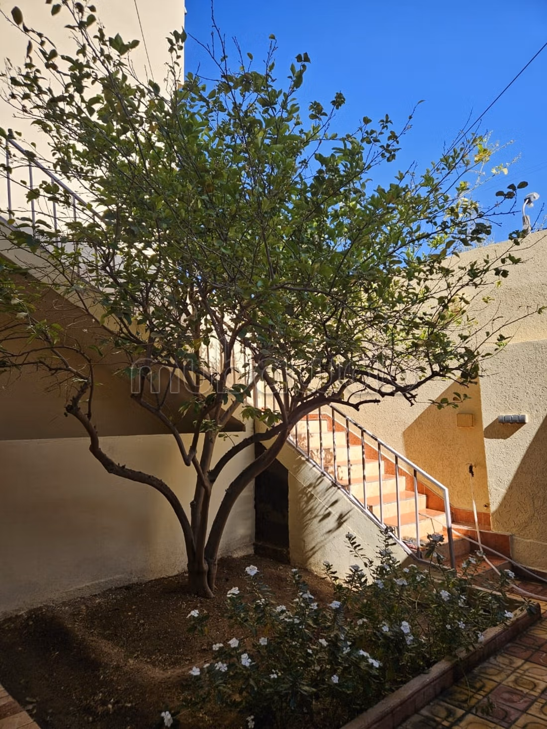 Maison à vendre à Zaïo. Surface de 150 m²