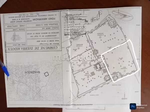 Terrain titre de propriété individuel à Djerba