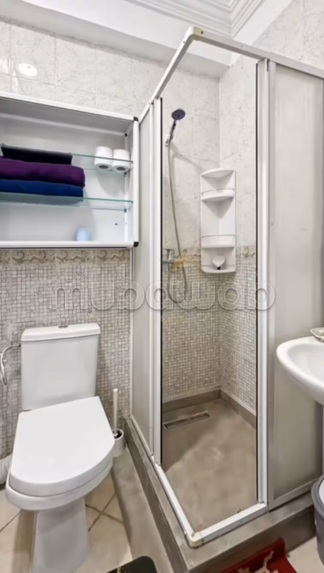 Appartement Meublé en Très Bon État à Louer