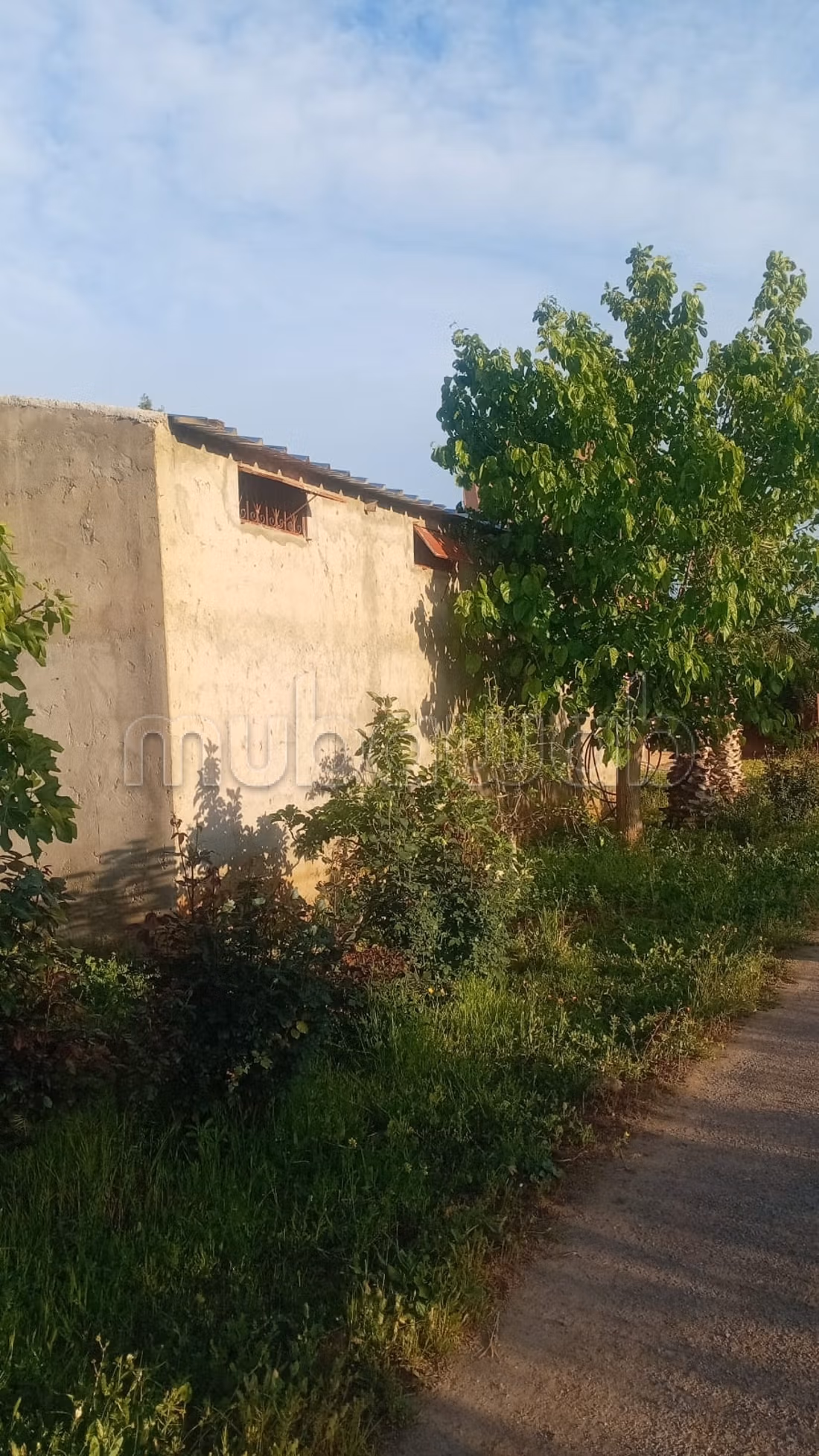 Finca de 1 hectárea con titulo de propiedad 