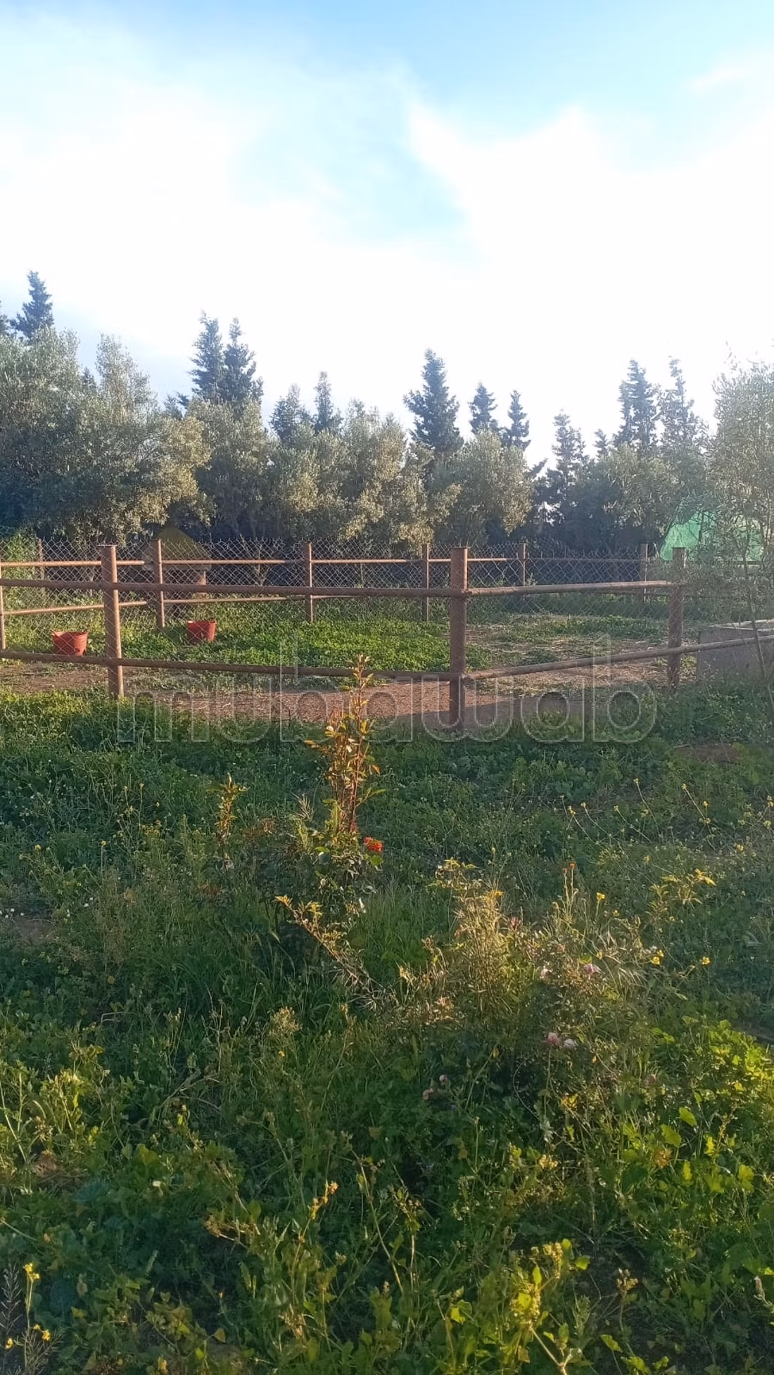 Finca de 1 hectárea con titulo de propiedad 