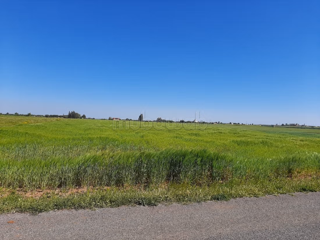 Getitreerd terrein van 2,5 hectare nabij Benslimane