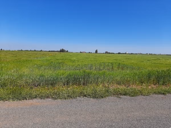Getitreerd terrein van 2,5 hectare nabij Benslimane